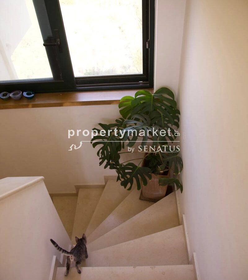 Detached House 220 M²