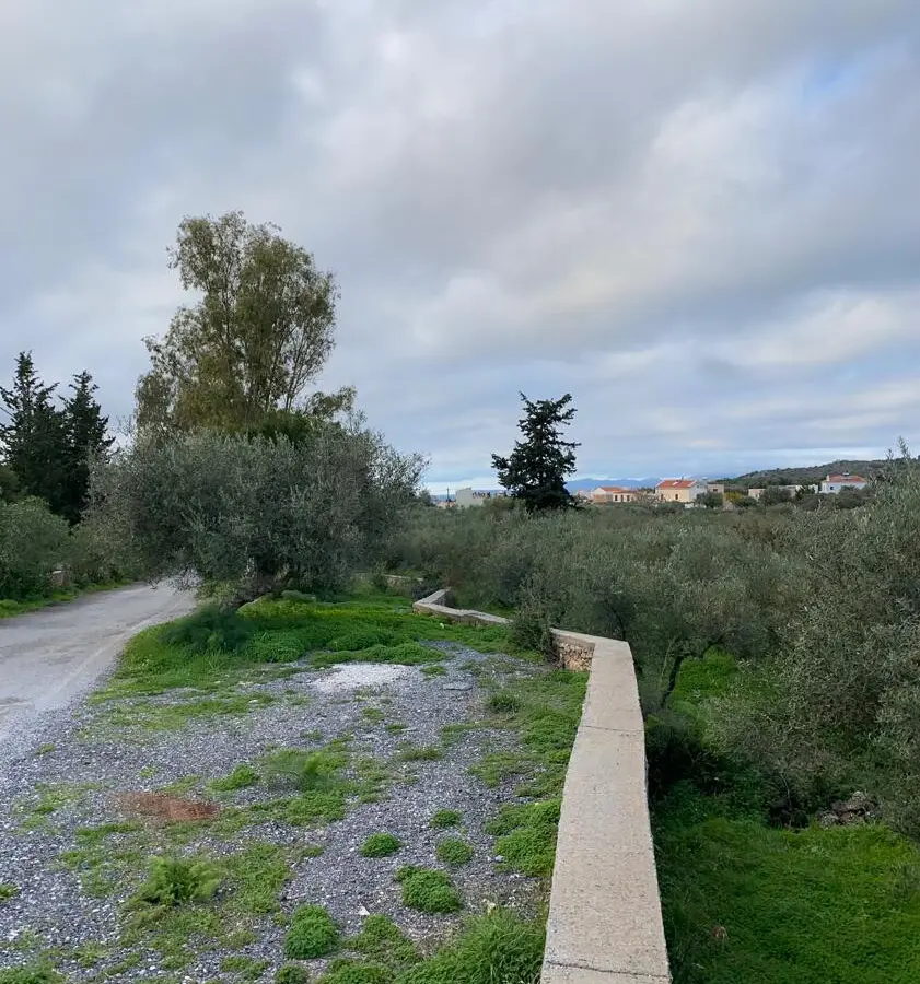 Land 4017 M² In Crete