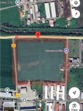 Pecica, Arad County, 6ha Land