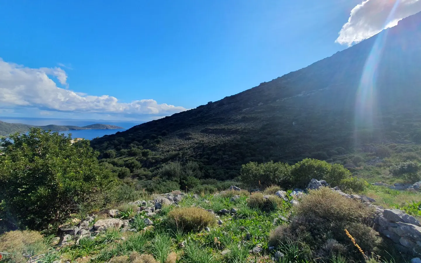 Land 6161 M² In Crete