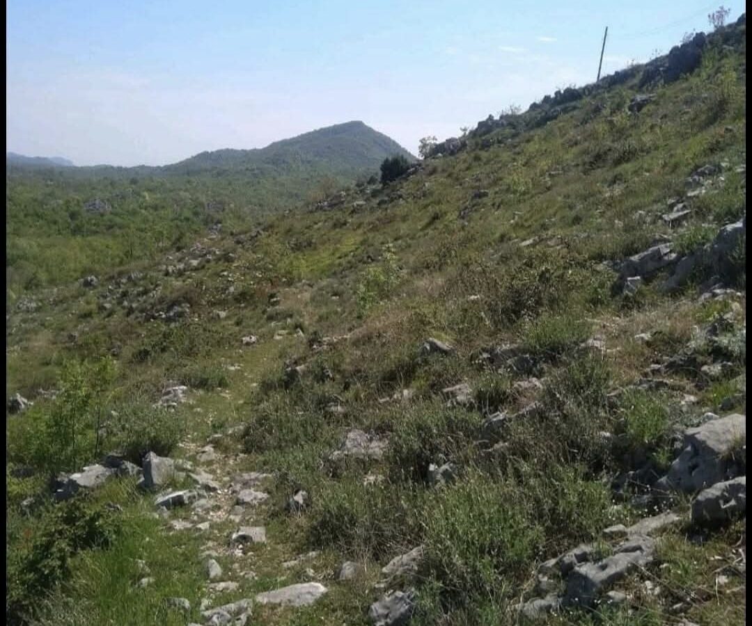 Urbanised Land 30.604m2, Place Štitari, Cetinje, Montenegro
