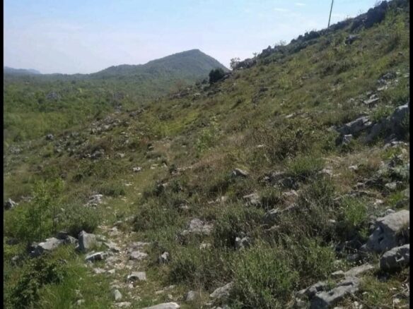 Urbanised Land 30.604m2, Štitari, Cetinje, Montenegro