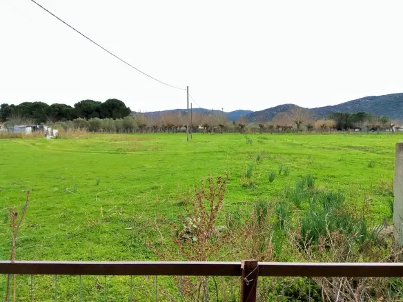 Land In Sithonia, Greece