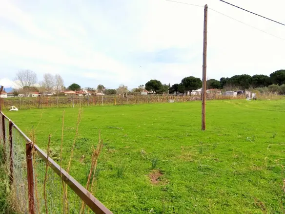 Land In Sithonia, Greece