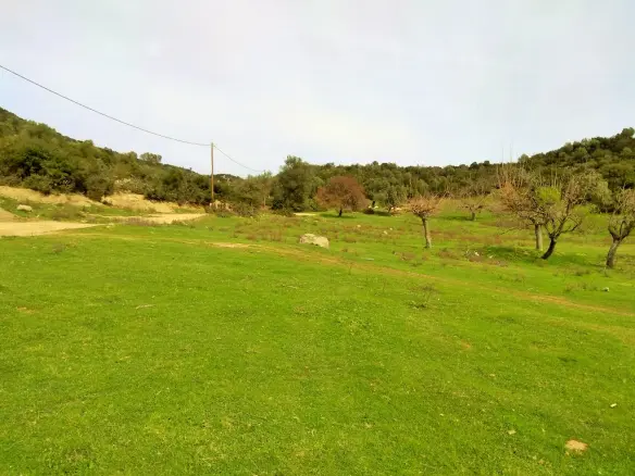 Land In Sithonia, Greece