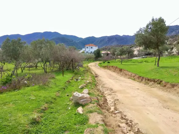 Land In Sithonia, Greece