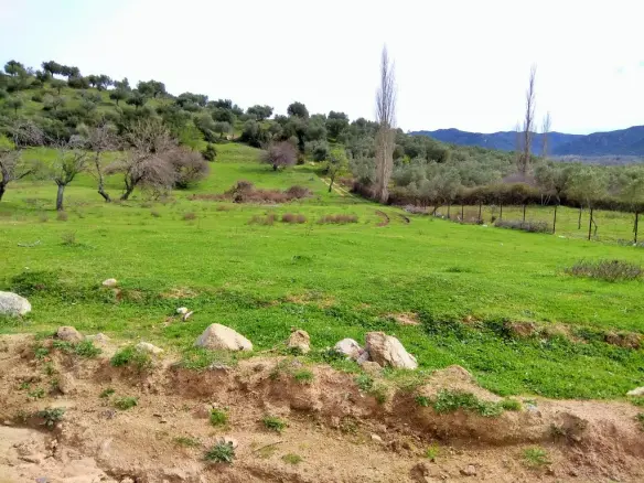 Land In Sithonia, Greece