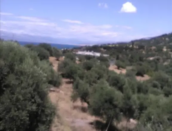 Land In Erineo, Greece