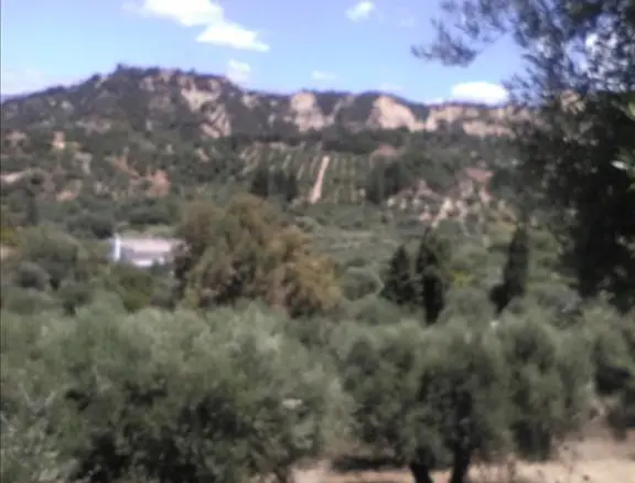Land In Erineo, Greece