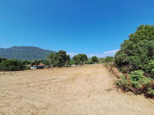 Land In Corfu, Greece