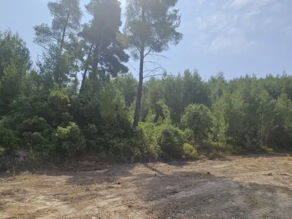 Land In Kassandra, Greece