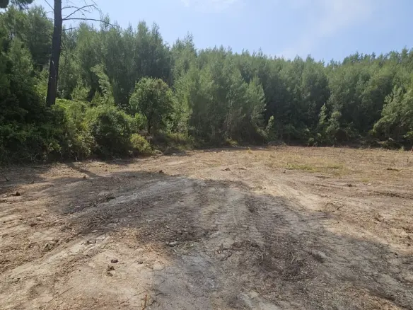 Land In Kassandra, Greece