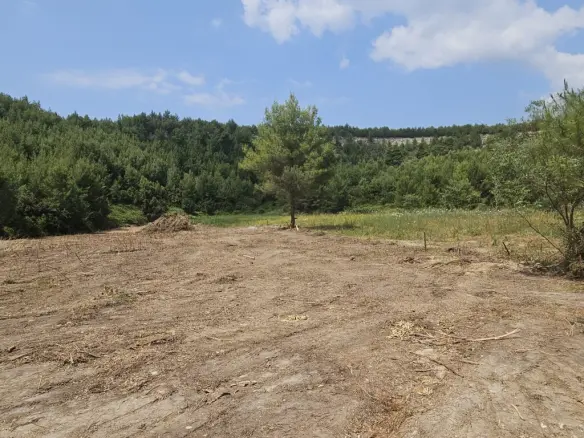 Land In Kassandra, Greece