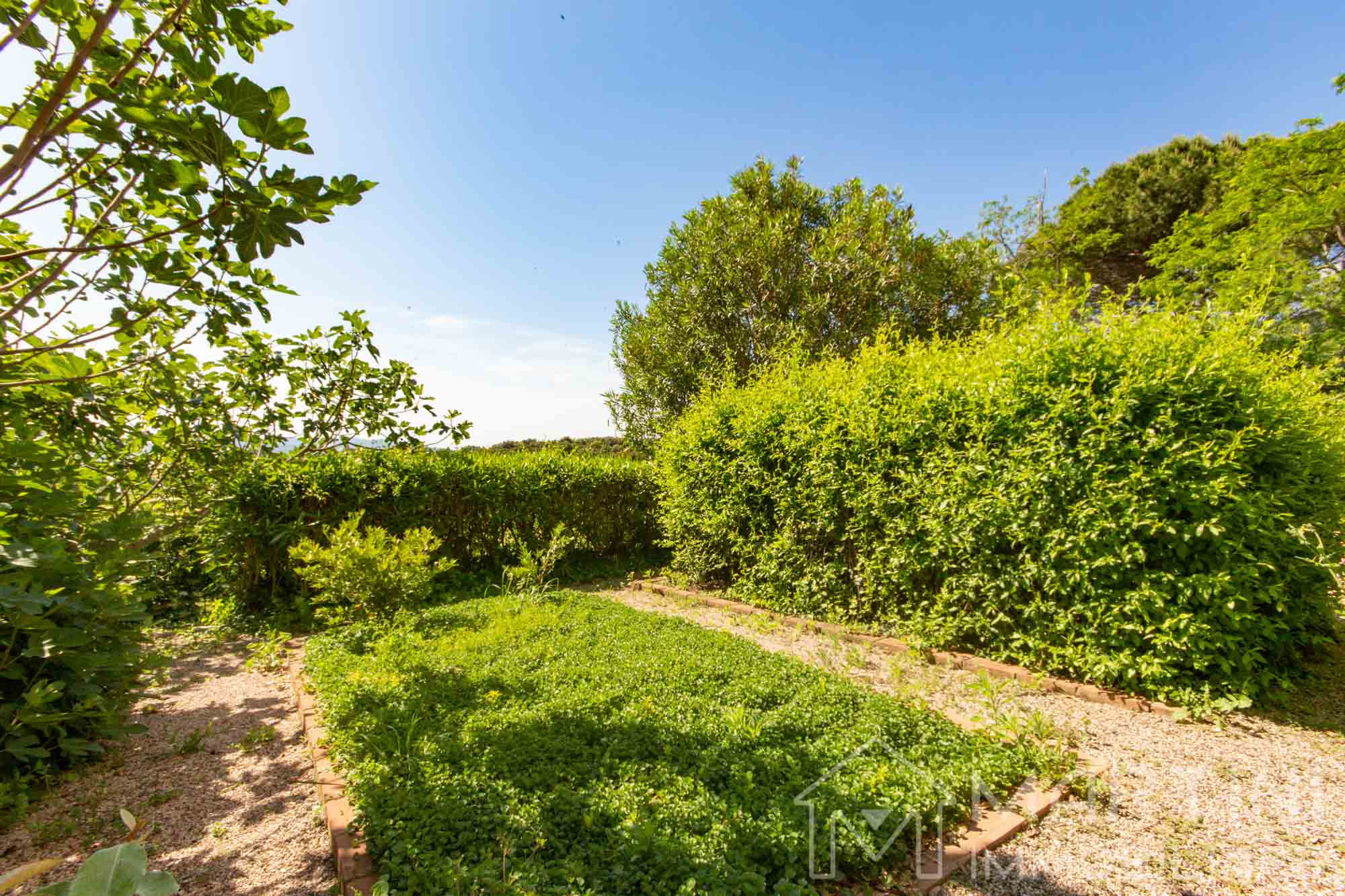 Appartamento con Giardino Privato Posto Auto Vista Panoramica in Toscana in Vendita (4)