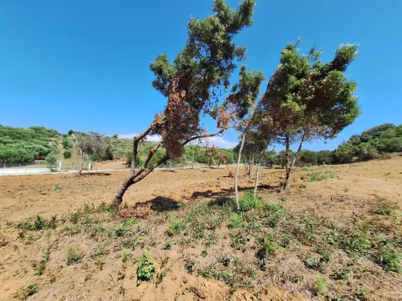 Land In Corfu, Greece