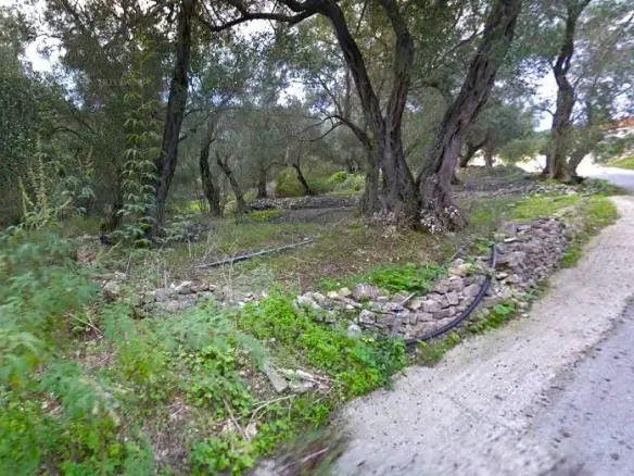 Land In Paxoi, Greece
