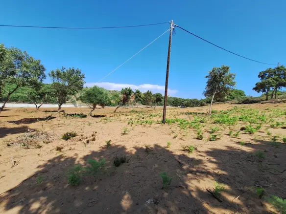 Land In Corfu, Greece