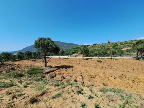 Land In Corfu, Greece