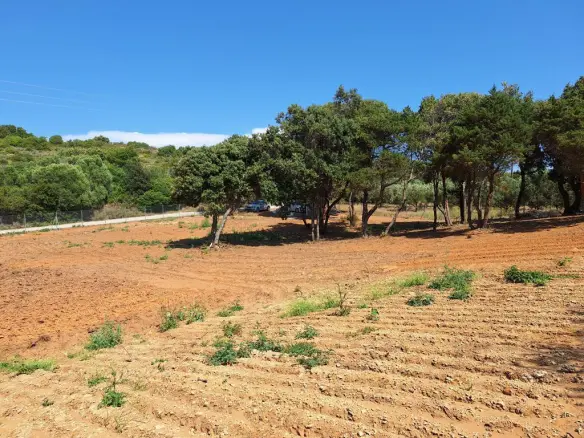 Land In Corfu, Greece