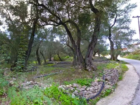 Land In Paxoi, Greece