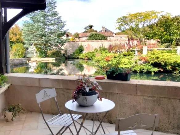Stunning Historic Old Stone Mill, In The Heart Of A Village, Outbuildings, River Views – Lizant (vienne)