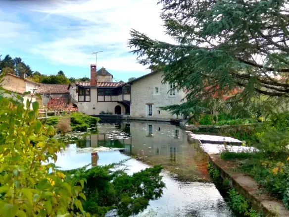 Stunning Historic Old Stone Mill, In The Heart Of A Village, Outbuildings, River Views – Lizant (vienne)