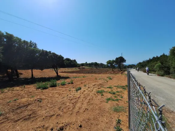 Land In Corfu, Greece