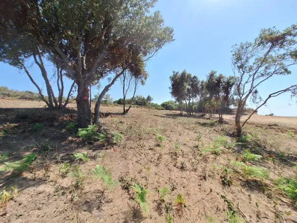 Land In Corfu, Greece