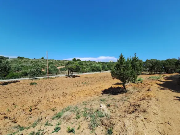 Land In Corfu, Greece