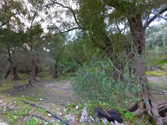 Land In Paxoi, Greece