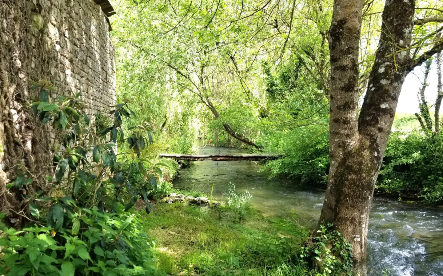 Lovely Golden Stone Picture Book Mill, Nr Ruffec, Charente 3 Bedrooms, 2 Bathrooms, Outbuildings, Views