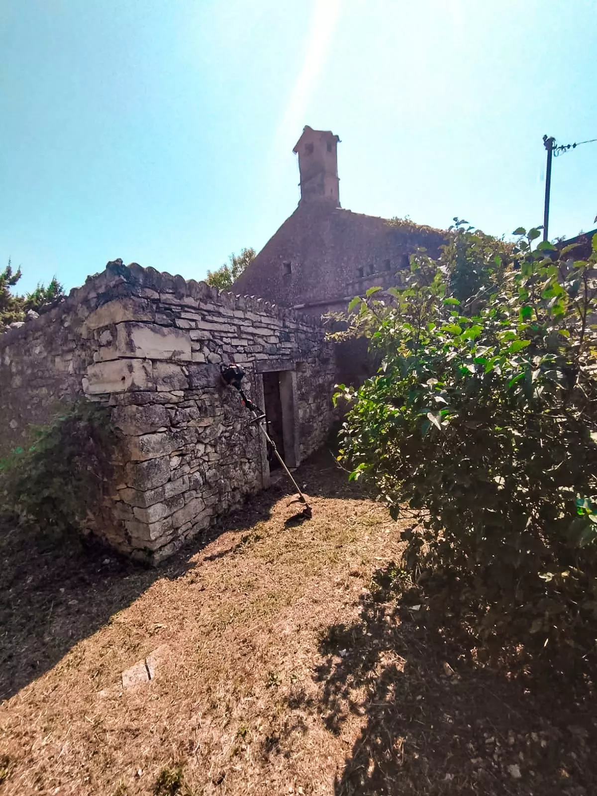 WhatsApp Image 2026-01-26 at 08.58.49