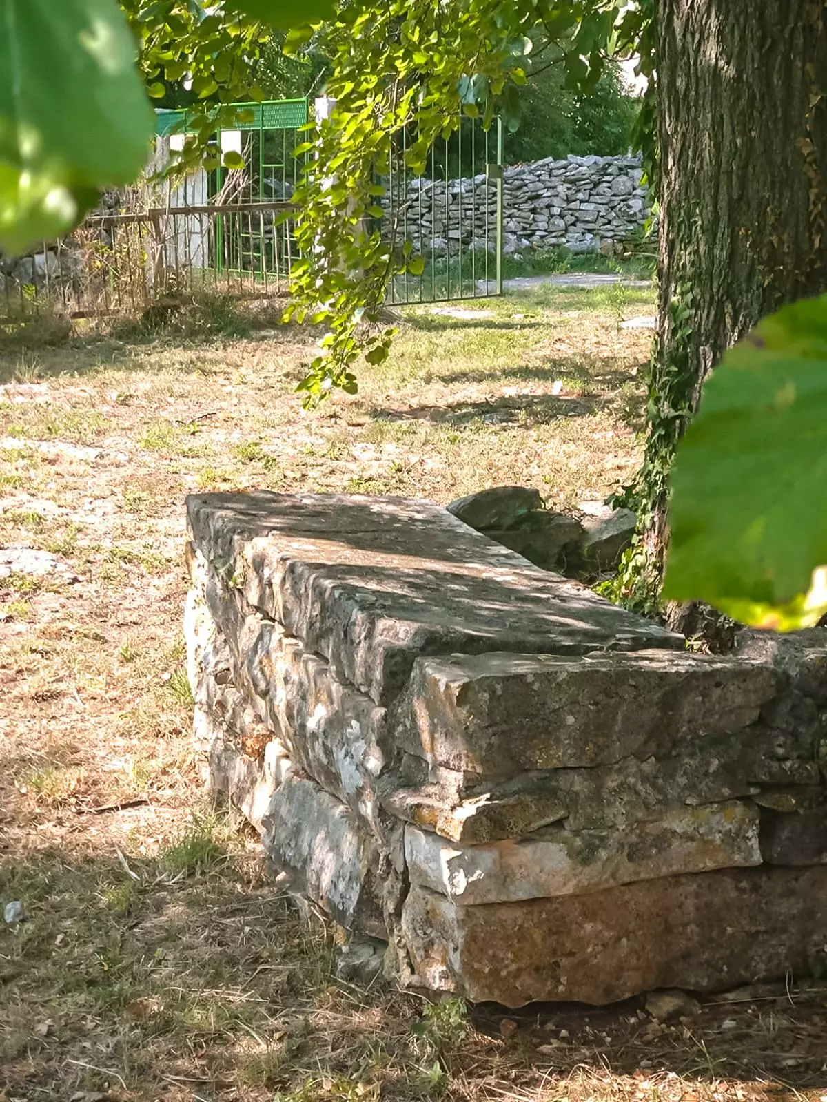 WhatsApp Image 2026-01-26 at 09.00.08