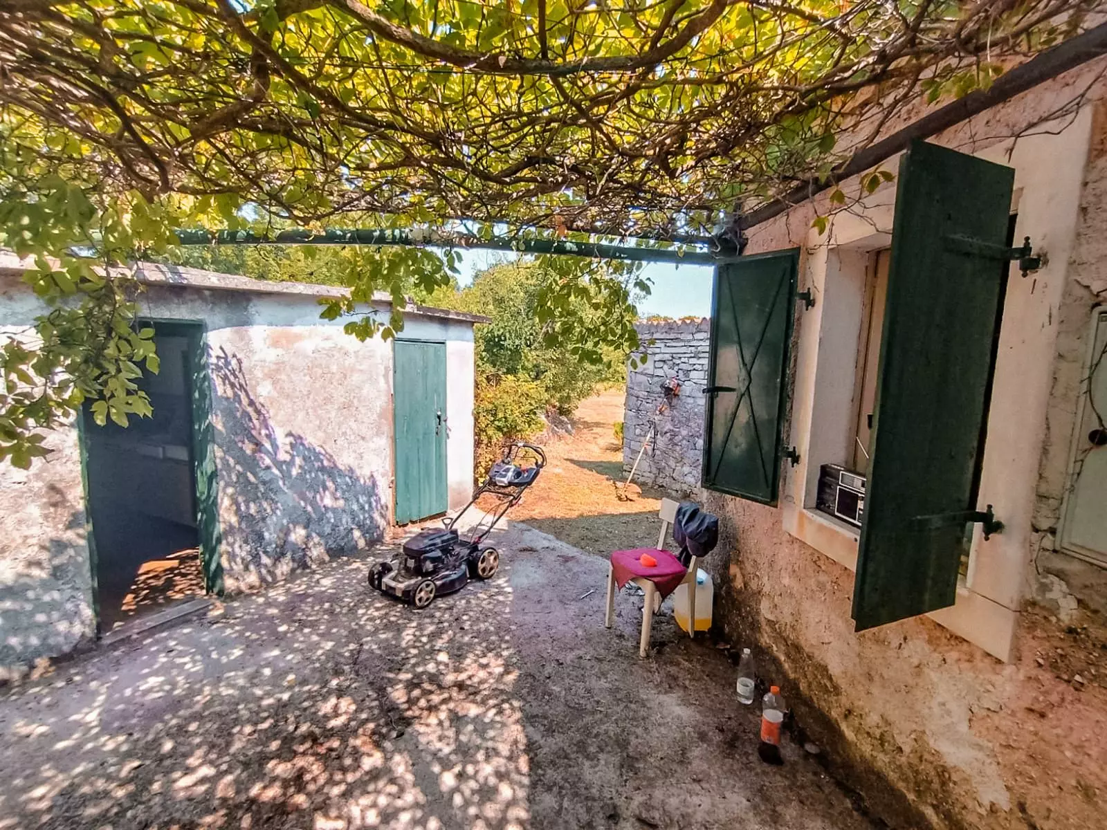 WhatsApp Image 2026-01-26 at 09.02.46