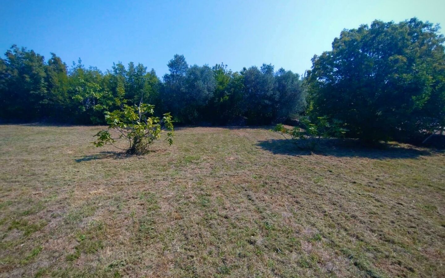 House With Large Land Plot In Rakalj, Croatia – Peace, Nature And Sea Nearby