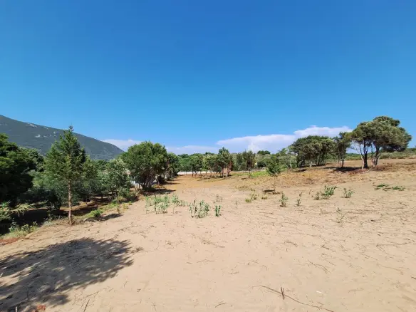 Land In Corfu, Greece