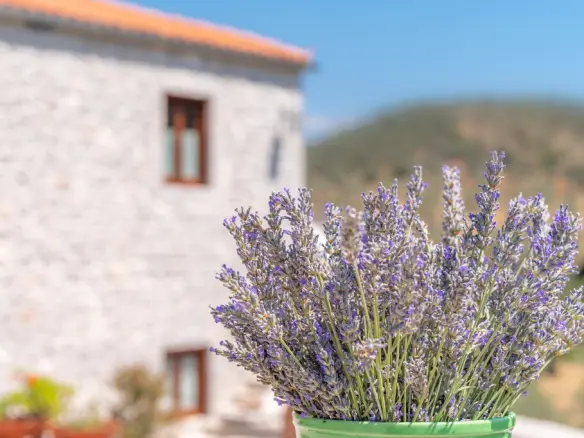 7-bedroom Villa In Asklipieio, Greece (420 M²)