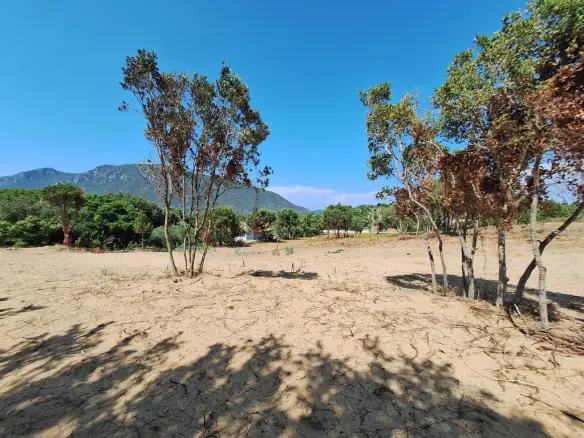 Land In Corfu, Greece