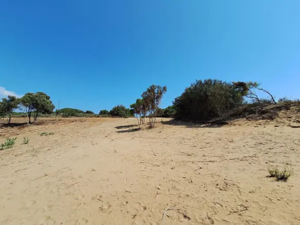 Land In Corfu, Greece