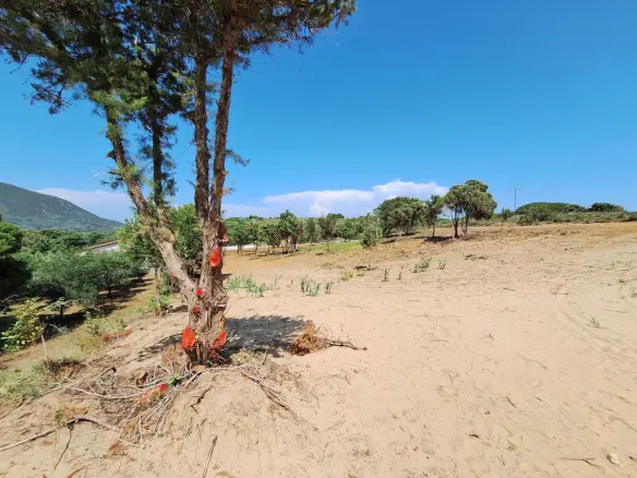 Land In Corfu, Greece