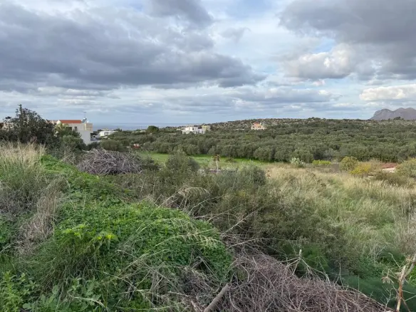 Land In Akrotiri, Greece