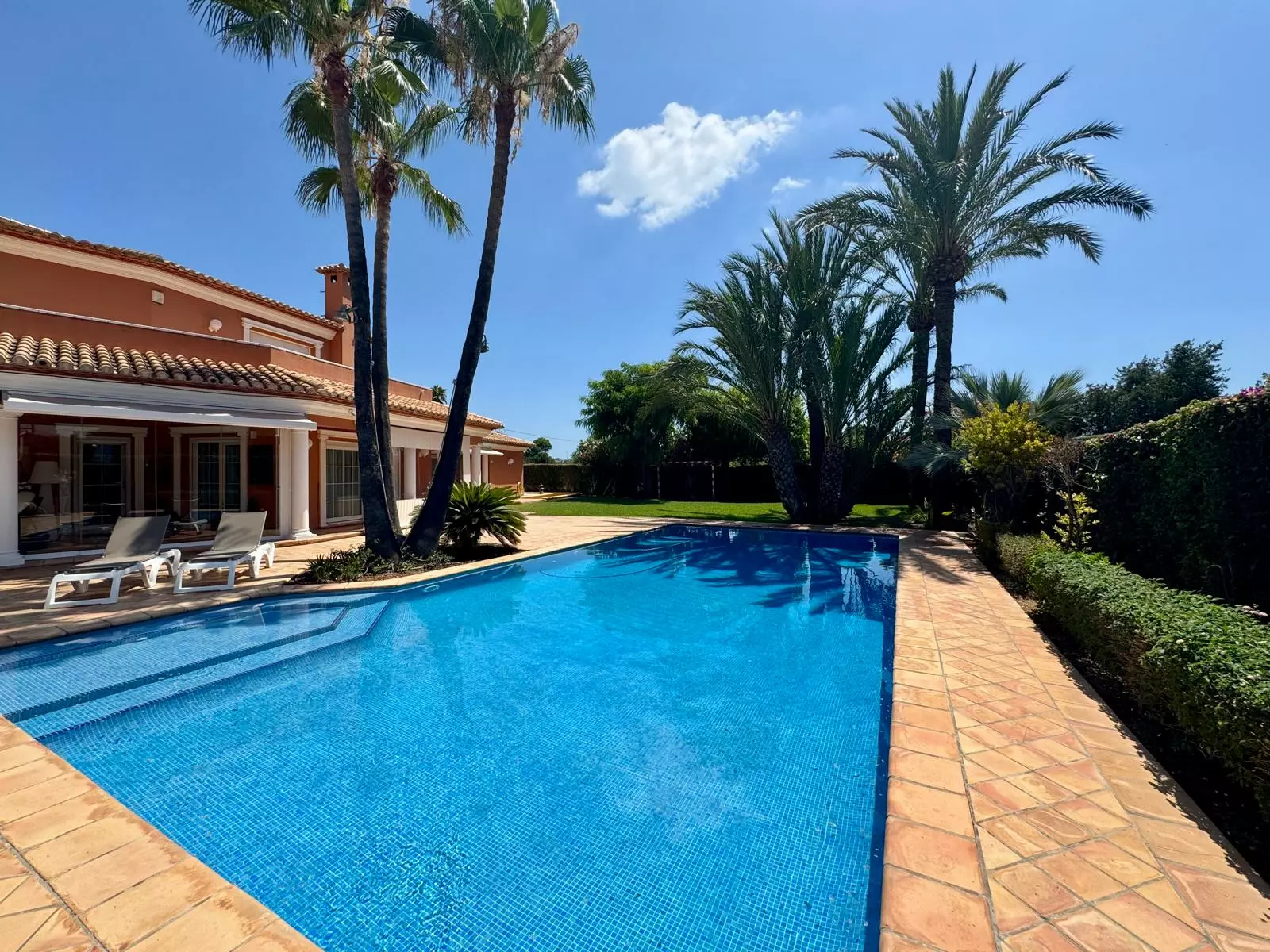 WhatsApp Image 2026-01-19 at 20.58.17 (3)