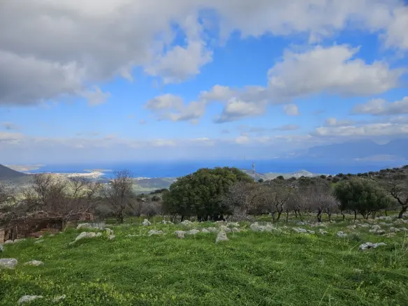 Land In Agios Nikolaos, Greece