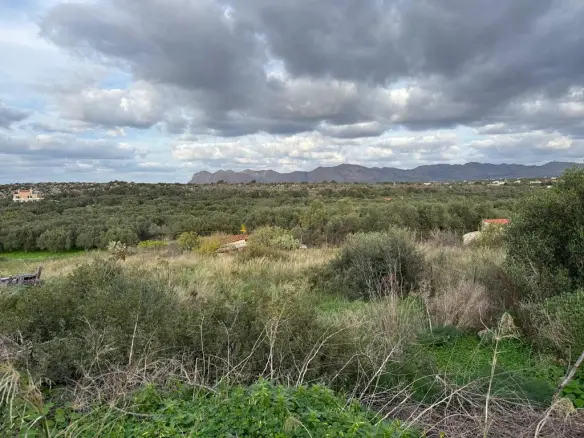 Land In Akrotiri, Greece