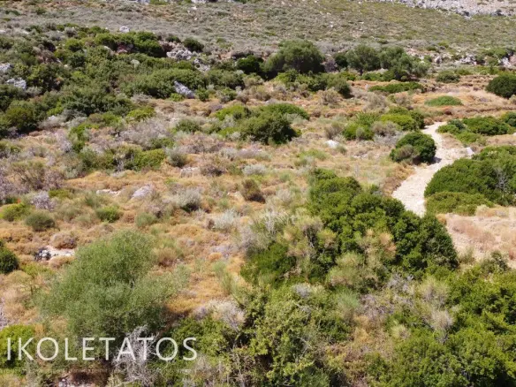 Plot In Old Skala, Greece
