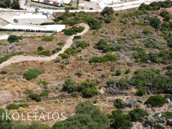 Plot In Old Skala, Greece