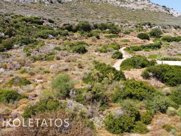 Plot In Old Skala, Greece