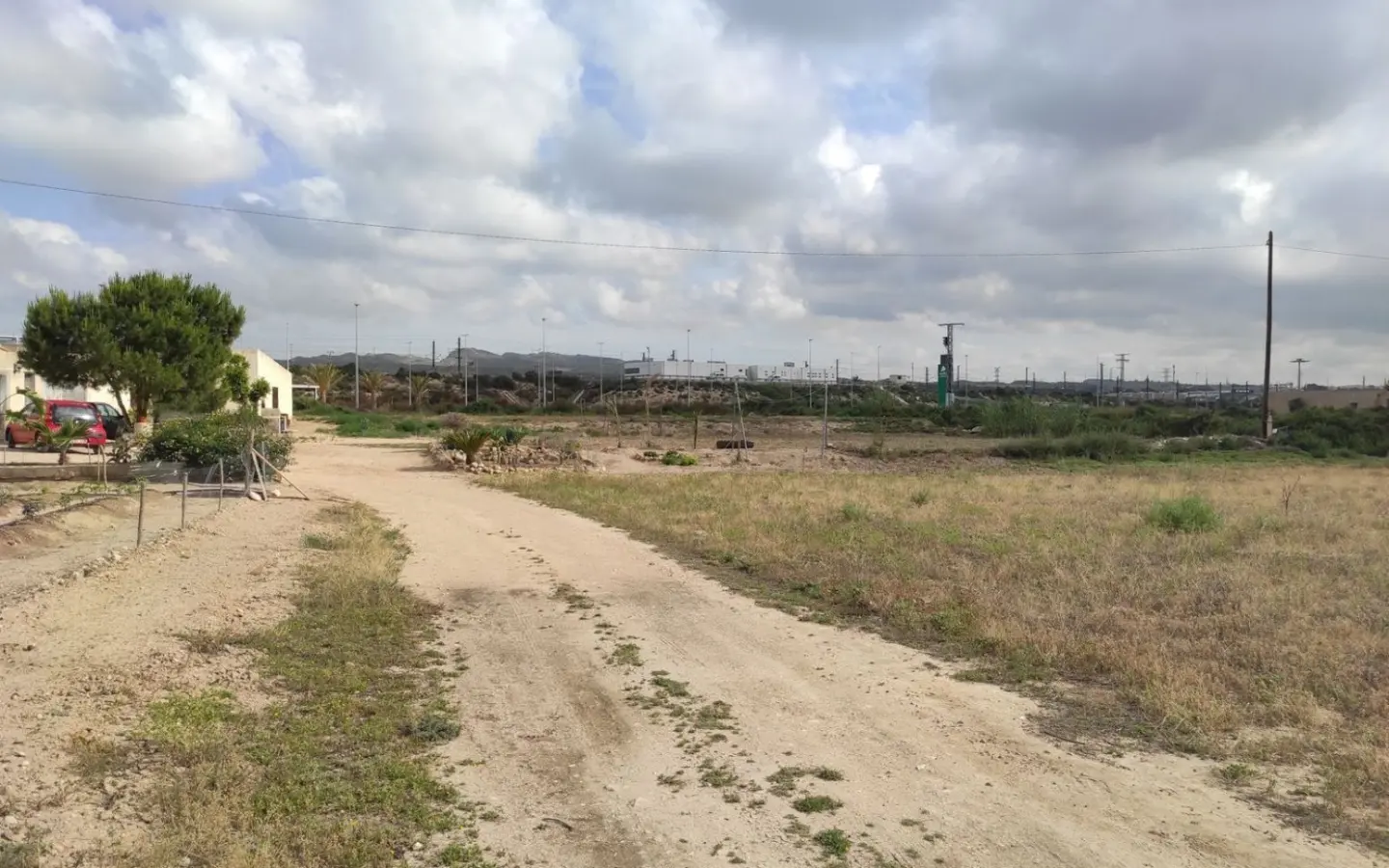 Country Land In Elche, Spain