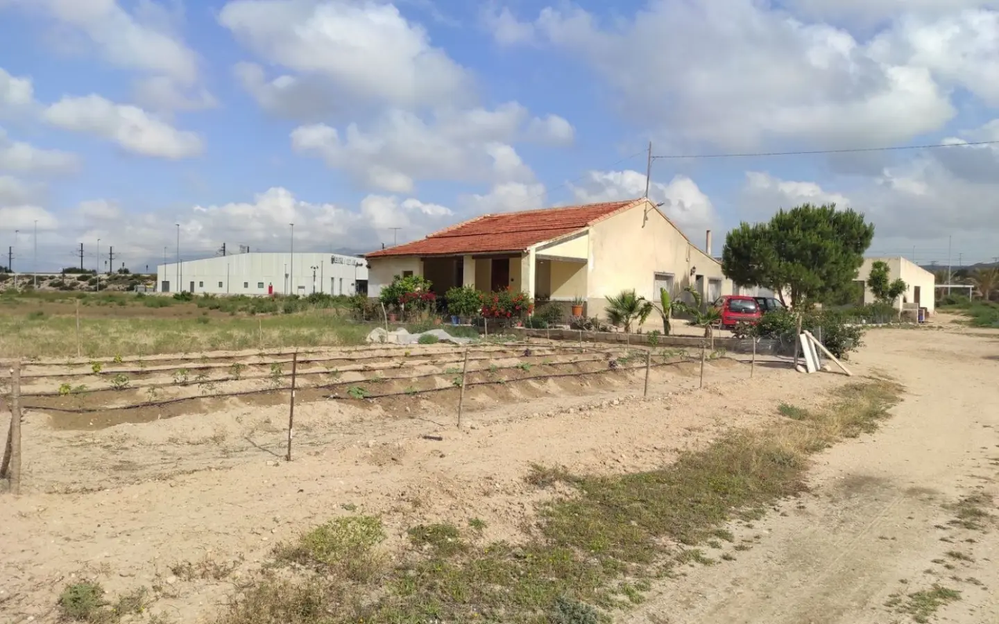 Country Land In Elche, Spain