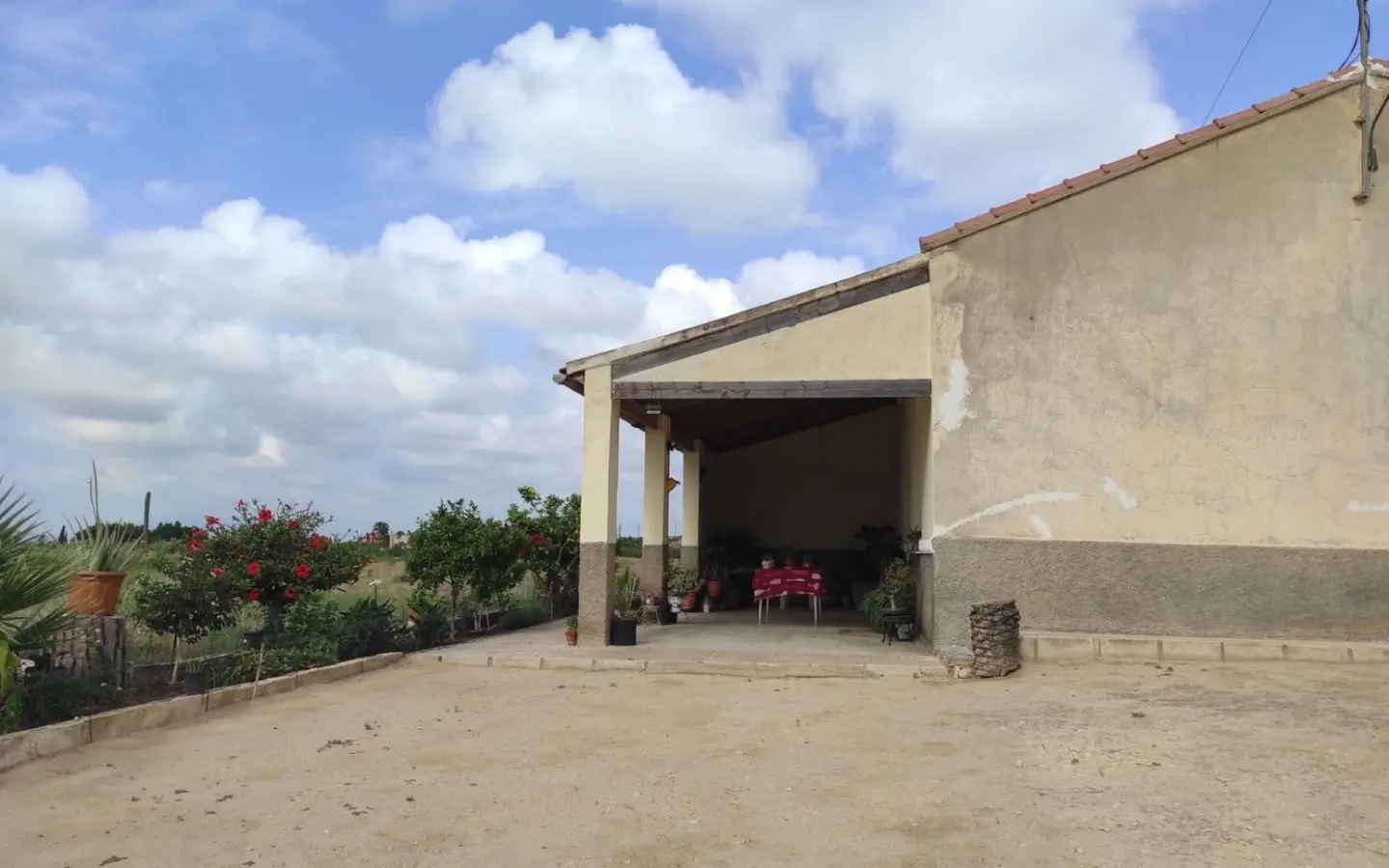 Country Land In Elche, Spain